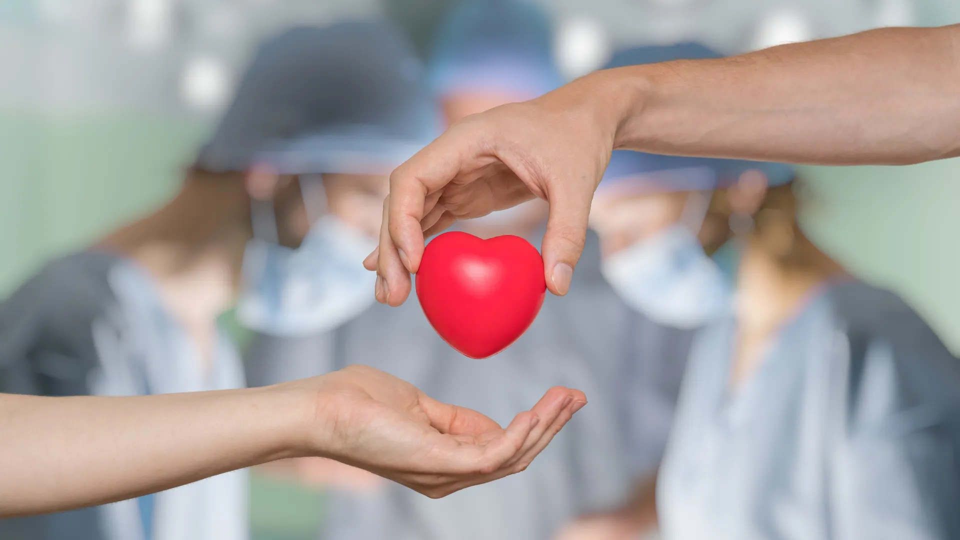 a close-up of hands holding a red ball