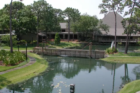 Wooden footbridge over a pond surrounded by trees and grass with buildings in the background