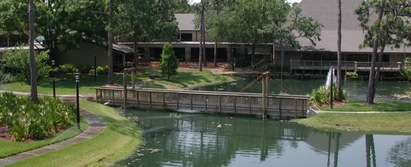 Wooden footbridge over a pond surrounded by trees and grass with buildings in the background