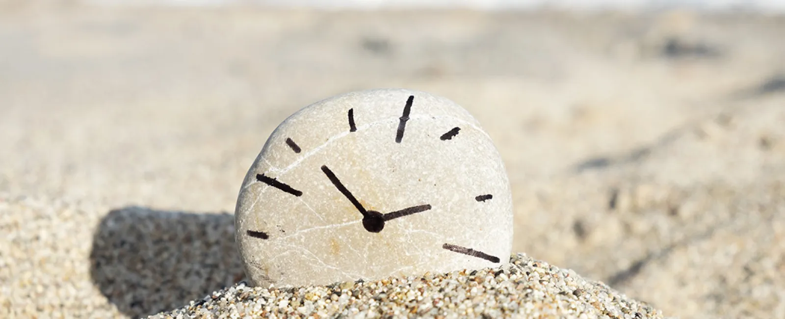 Are You Planning Your “Big Rocks?”