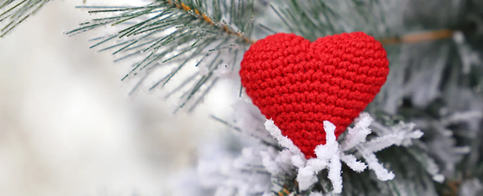 Love and Hope – Monday Message