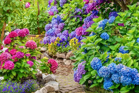 Gardeners of the Mind – Monday Message