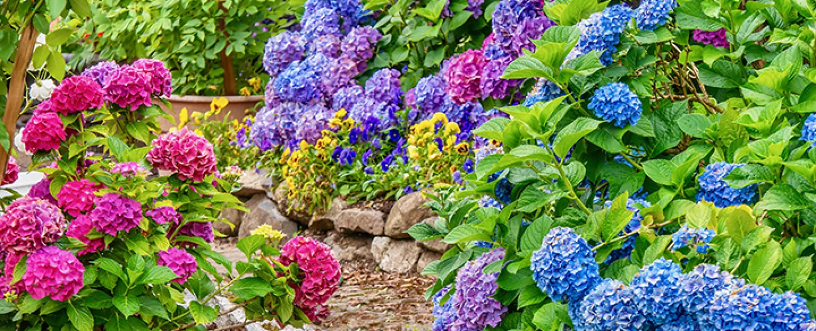 Gardeners of the Mind – Monday Message