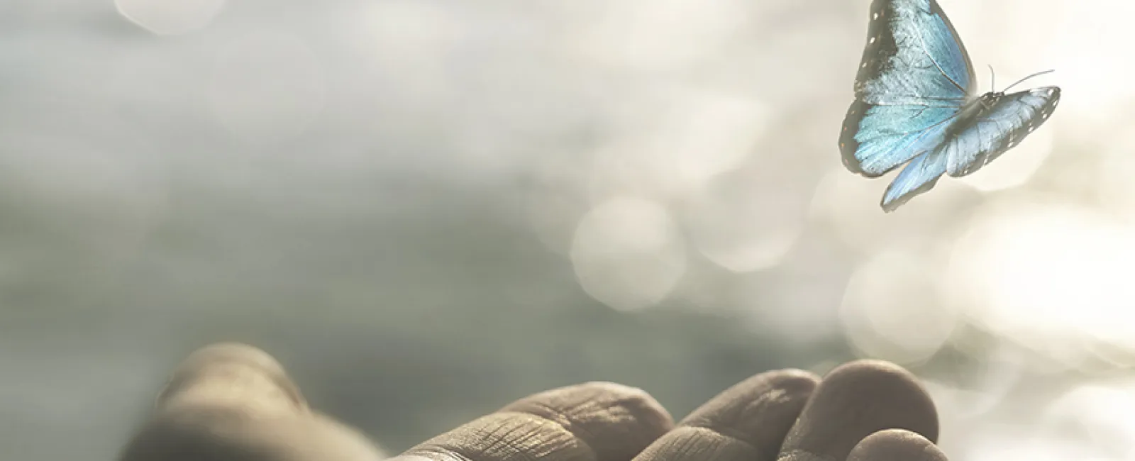 Growing Edges – Monday Message