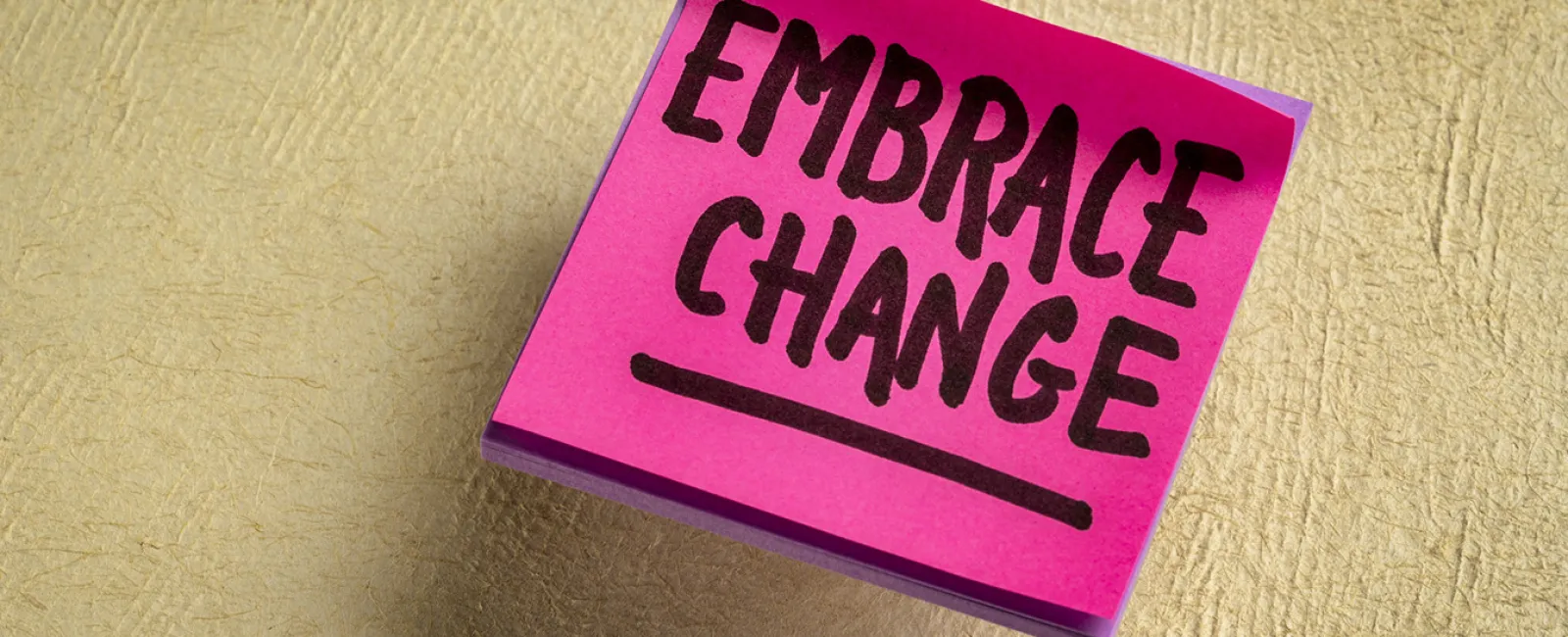 Embracing Impermanence – Monday Message