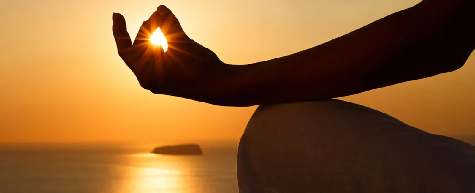 Gifts of Light and Peace