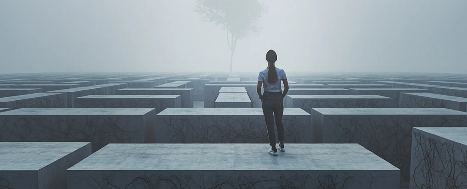 Finding Opportunity – Monday Message