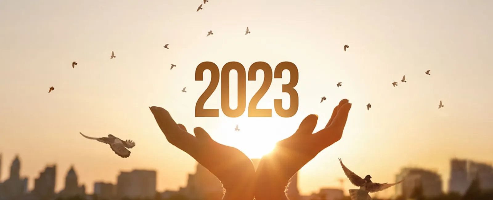 New Beginnings – Monday Message