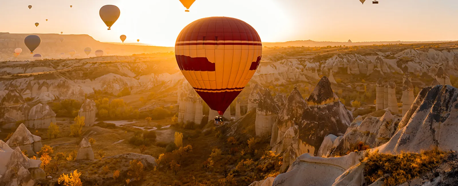 Today is a Wonderful Adventure – Monday Message