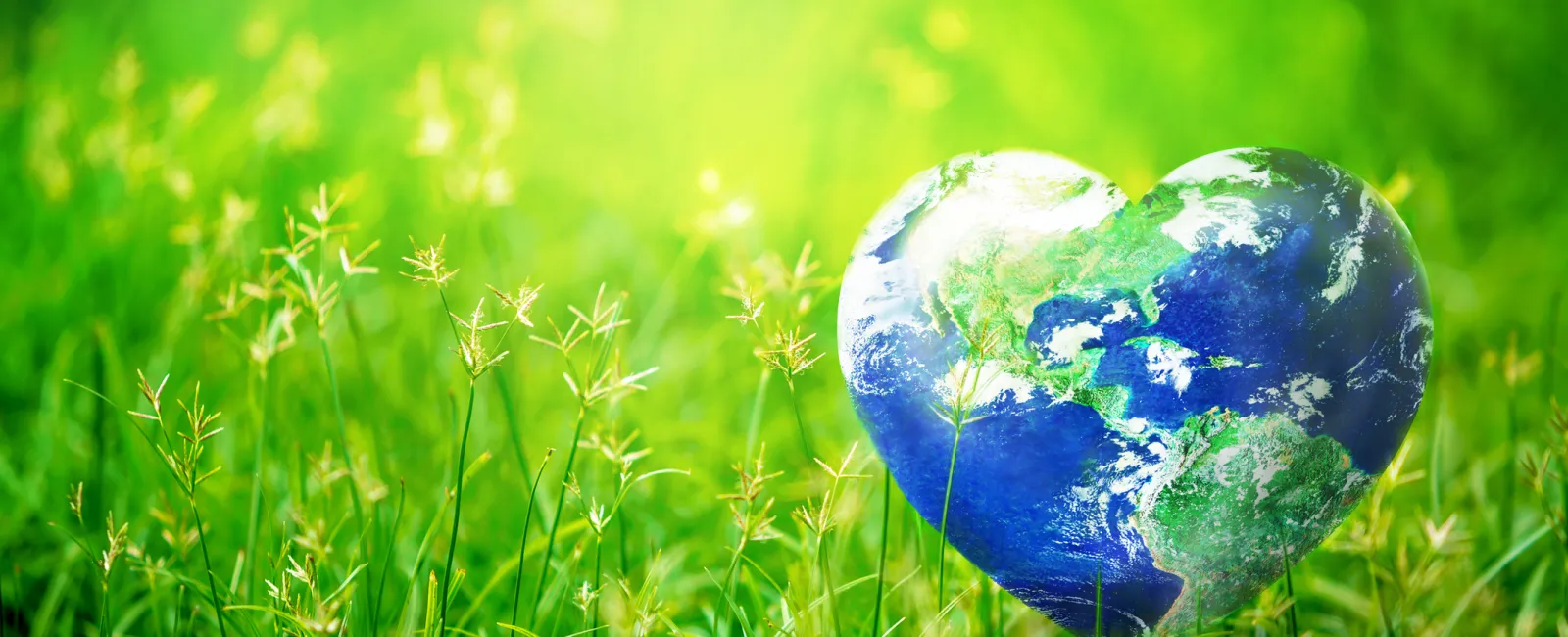 Change the World: Thrift Shop, Donate and Volunteer