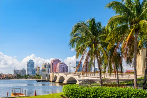Sunny waterfront scene with palm trees, bridge, and city skyline under a clear blue sky