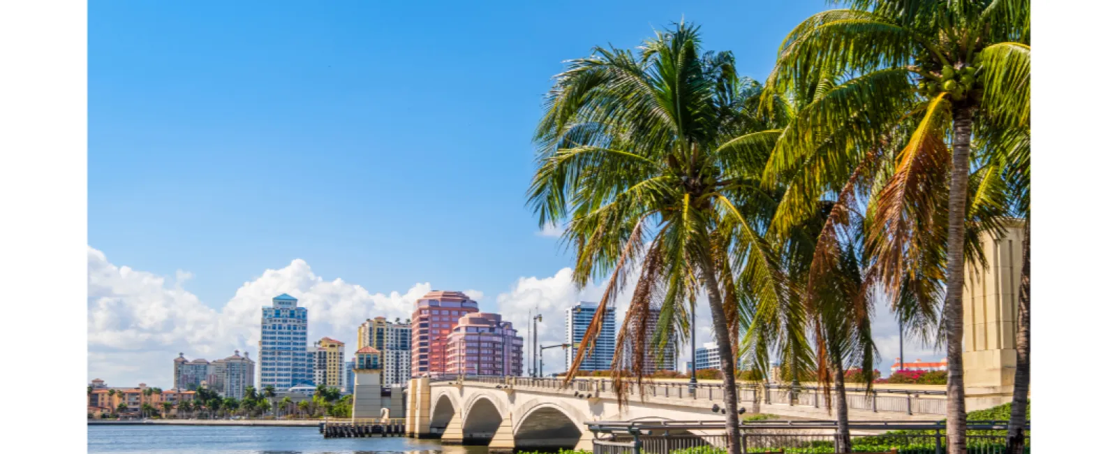 Sunny waterfront scene with palm trees, bridge, and city skyline under a clear blue sky