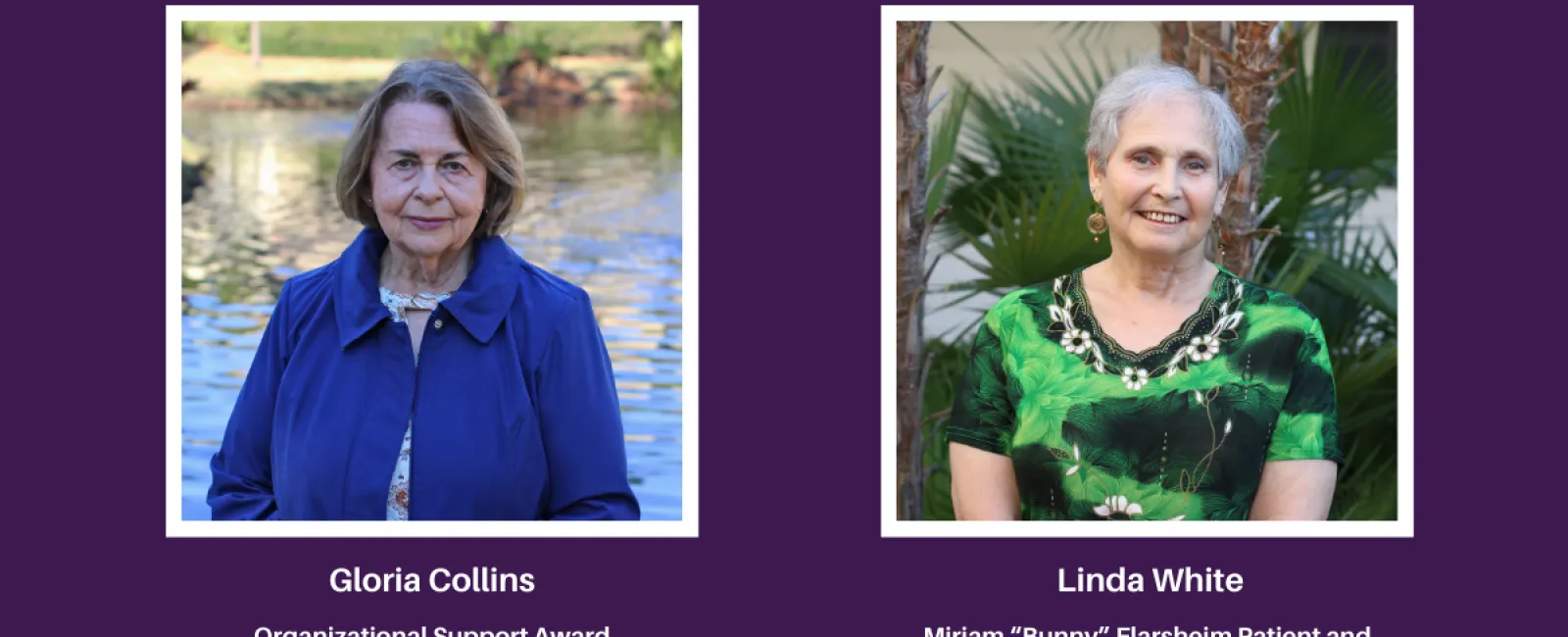 Shining A Light on Volunteers – 2022 Award Winners